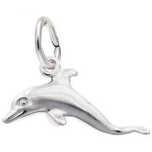 photo of Sterling silver dolphin charm item 001-710-03714