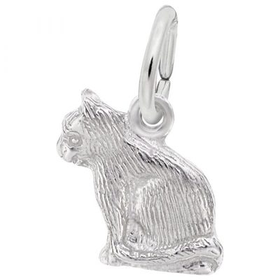 photo number one of Sterling silver cat charm item 001-710-03873