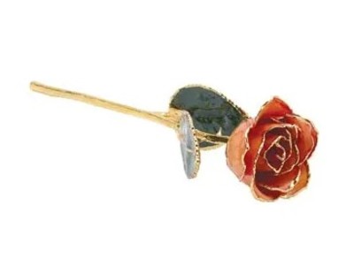 photo number one of Lacquered Orange rose with gold trim item 001-905-01337